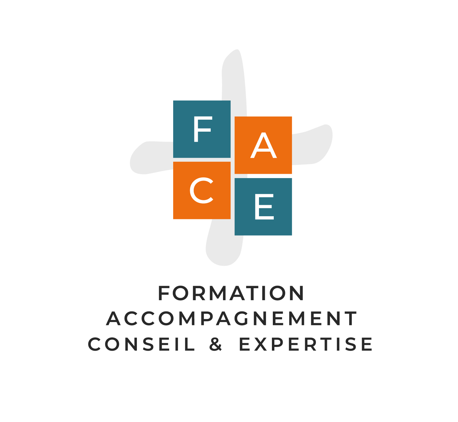 FACE Formation Coaching & Expertise